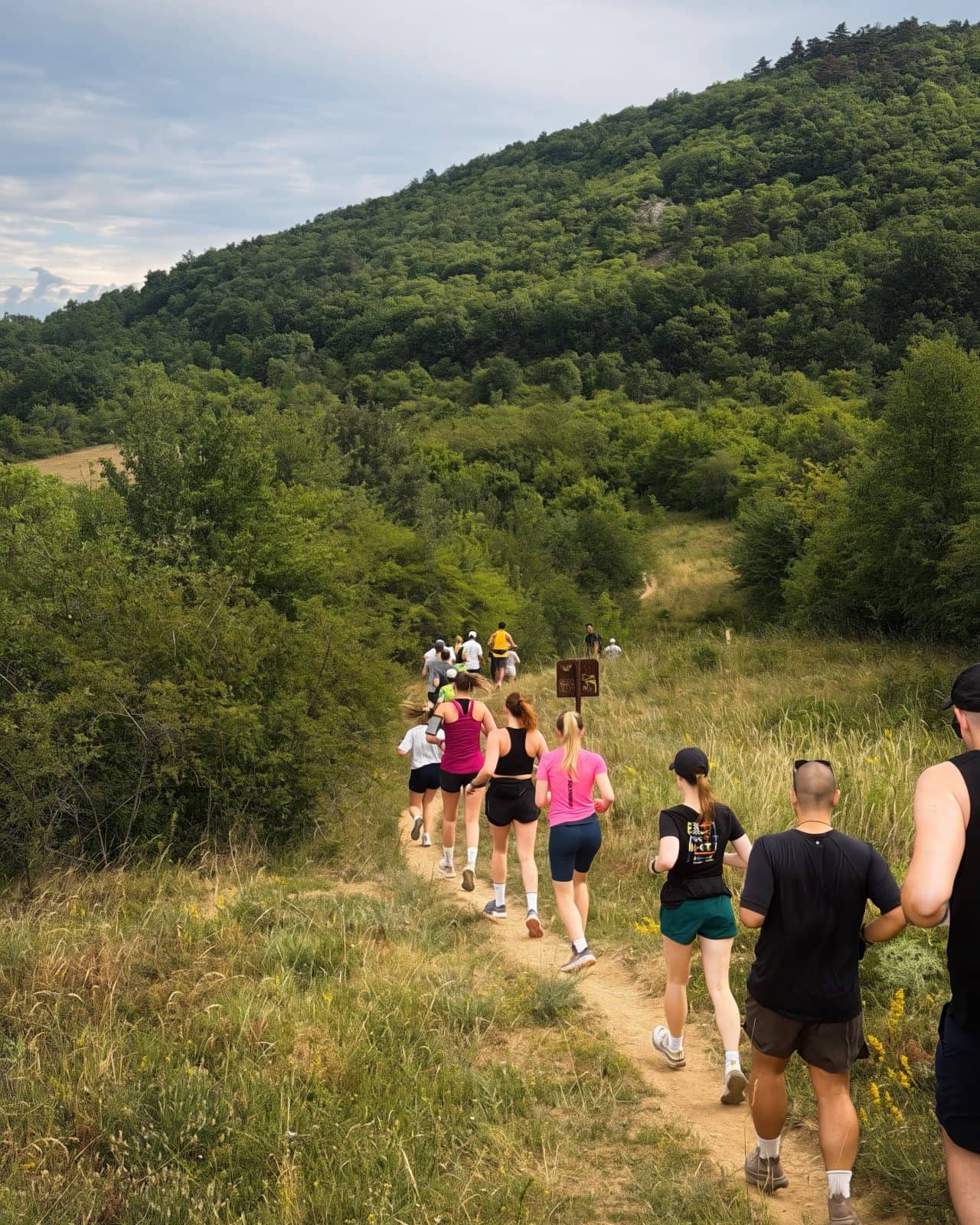 Runners on a gravel trail through the Buda hills